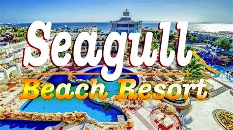 seagull beach resort entrance fee|SEAGULL BEACH RESORT $123 ($̶1̶6̶7̶) .